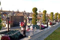 IMG_20251030_080142297 IMG_20251030_080142297