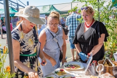 Festiwal_ludowy_20220626_056