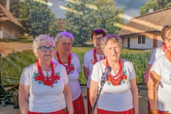 Festiwal_ludowy_20220626_178