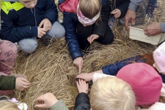 UMS_20230323_065
