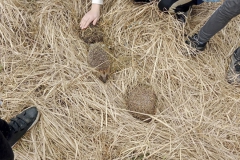 UMS_20230323_071