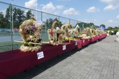 UMS_20230820_160_dozynki