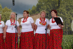 Festiwal-ludowy_20240630_033