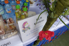 Festiwal-ludowy_20240630_043