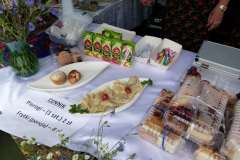 Festiwal-ludowy_20240630_046
