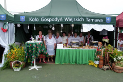 Festiwal-ludowy_20240630_048
