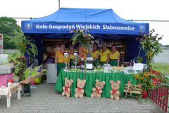 Festiwal-ludowy_20240630_076