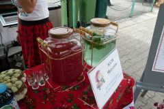 Festiwal-ludowy_20240630_121