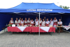 Festiwal-ludowy_20240630_149