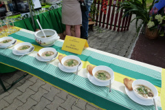 Festiwal-ludowy_20240630_221