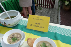 Festiwal-ludowy_20240630_222