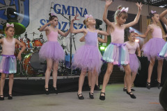 DniSedziszowa_20250628_067