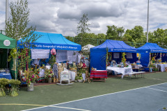 Festiwalludowy_20250629_031