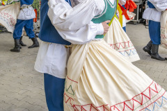 Festiwalludowy_20250629_093