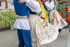 Festiwalludowy_20250629_094