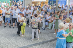 Festiwalludowy_20250629_143