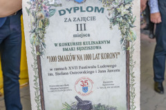 Festiwalludowy_20250629_191