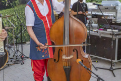 Festiwalludowy_20250629_293