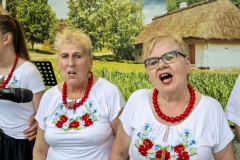 FestiwalLudowy_20260628_046