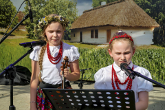 FestiwalLudowy_20260628_066