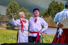 FestiwalLudowy_20260628_220