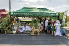 KGWPrzelaj_20260628_004
