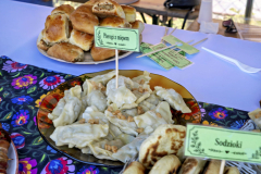 KGWPiolunka_20260628_009