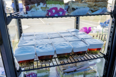 KGWSosnowianki_20260628_009