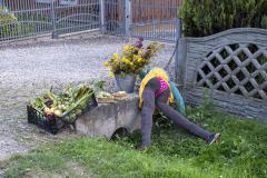UMS_3112