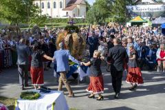 UMS_3549