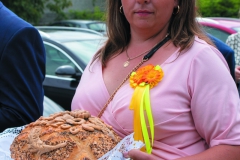 DSC07211