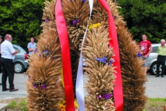 DSC07398