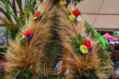 DSC07414