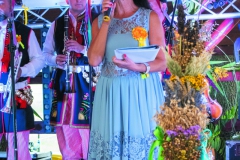 DSC07587