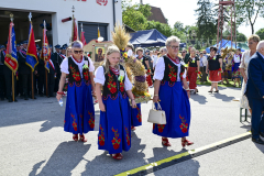 UMS_0247