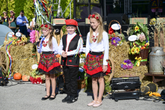 UMS_0331