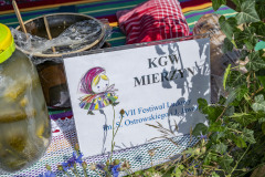 KGWMierzyn_20250629_001