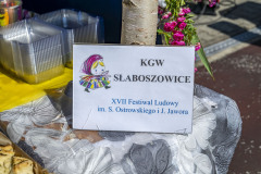 KGWPSlaboszowice_20250629_001