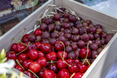 KGWPSzalas_20250629_011