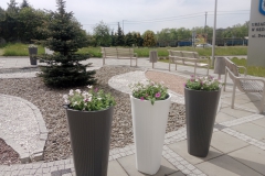 ANMAR_kwiaty2023_1