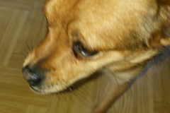 20201125_084403