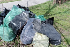 Krzciecice_sprzatanie2023_004