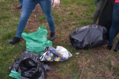 Ogrodki_dzialkowe_sprzatanie2023_002