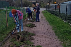 Sady_blok3_sprzatanie2023_001