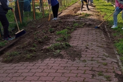 Sady_blok3_sprzatanie2023_015