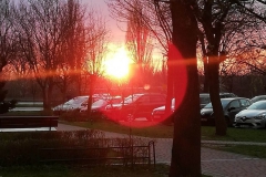 Sady_blok3_sprzatanie2023_018