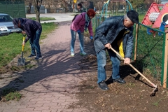 Sady_blok3_sprzatanie2023_025