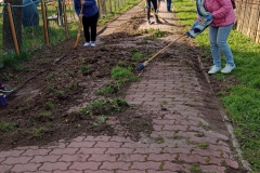 Sady_blok3_sprzatanie2023_033