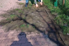 Sady_blok3_sprzatanie2023_035