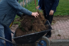 Sady_blok3_sprzatanie2023_038